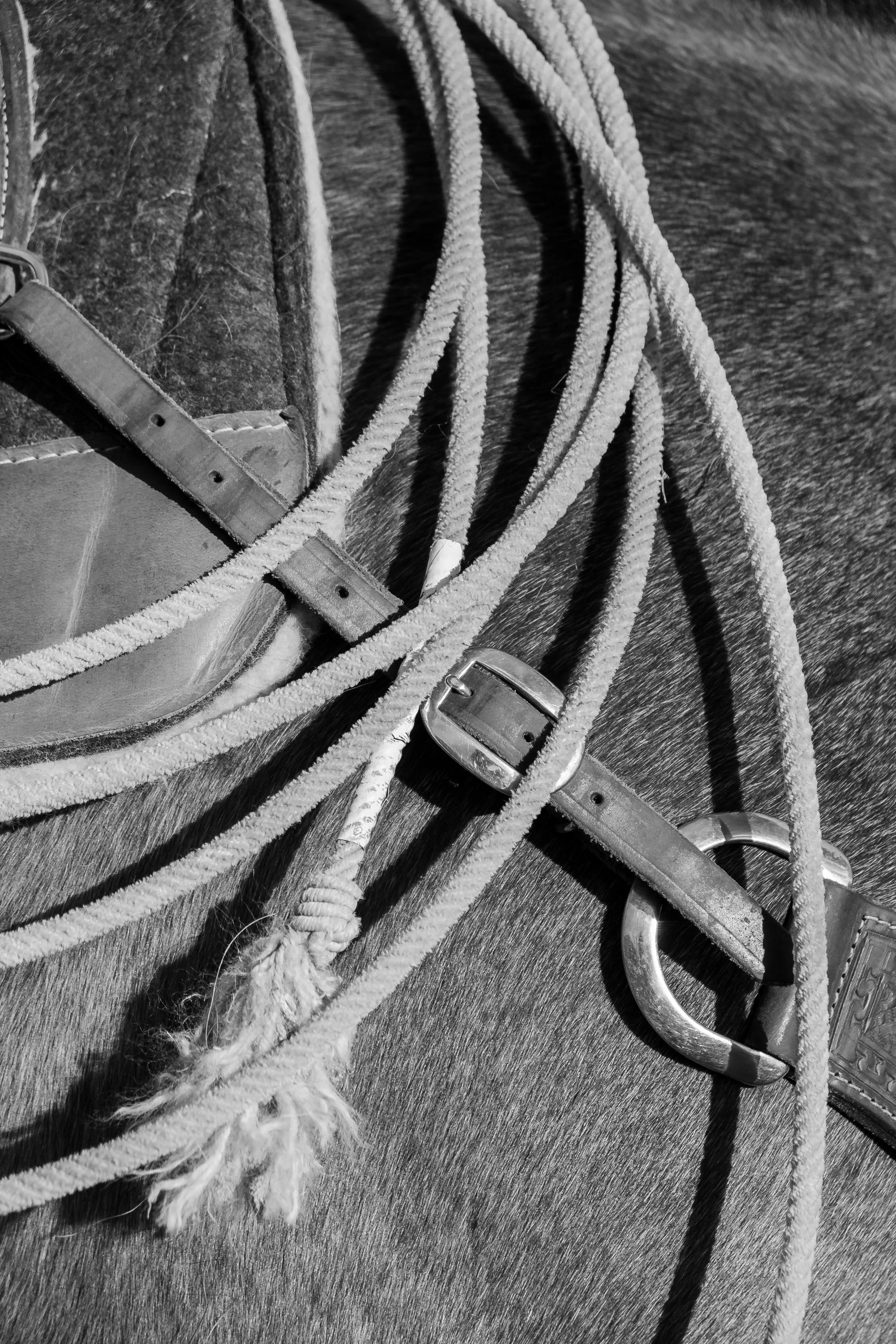 260423-Addi-8537.jpg