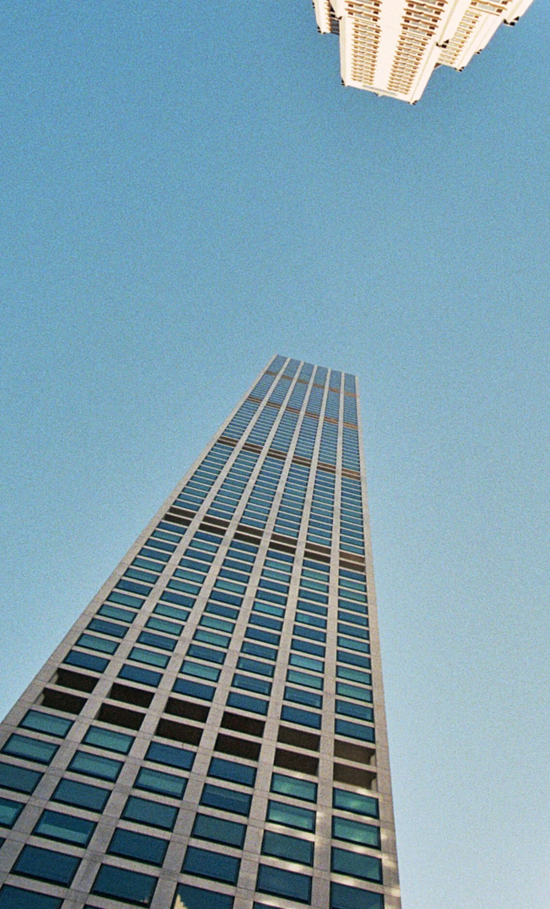 _36_00272.jpg