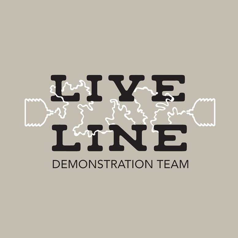 LiveLine-Demo_Logo.jpg