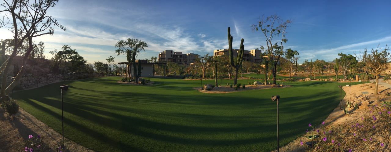 Also Offering Synthetic Turf Solutions