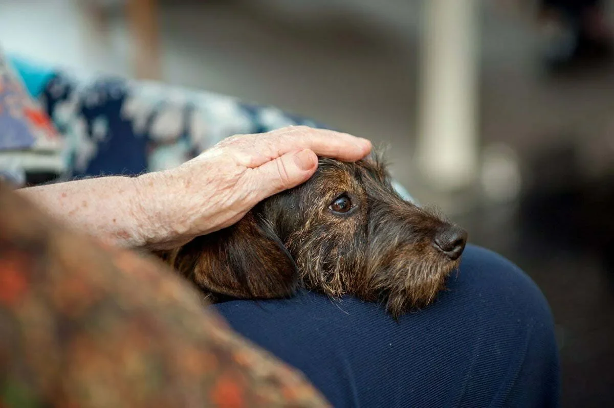 Our latest project: Ageing Alone