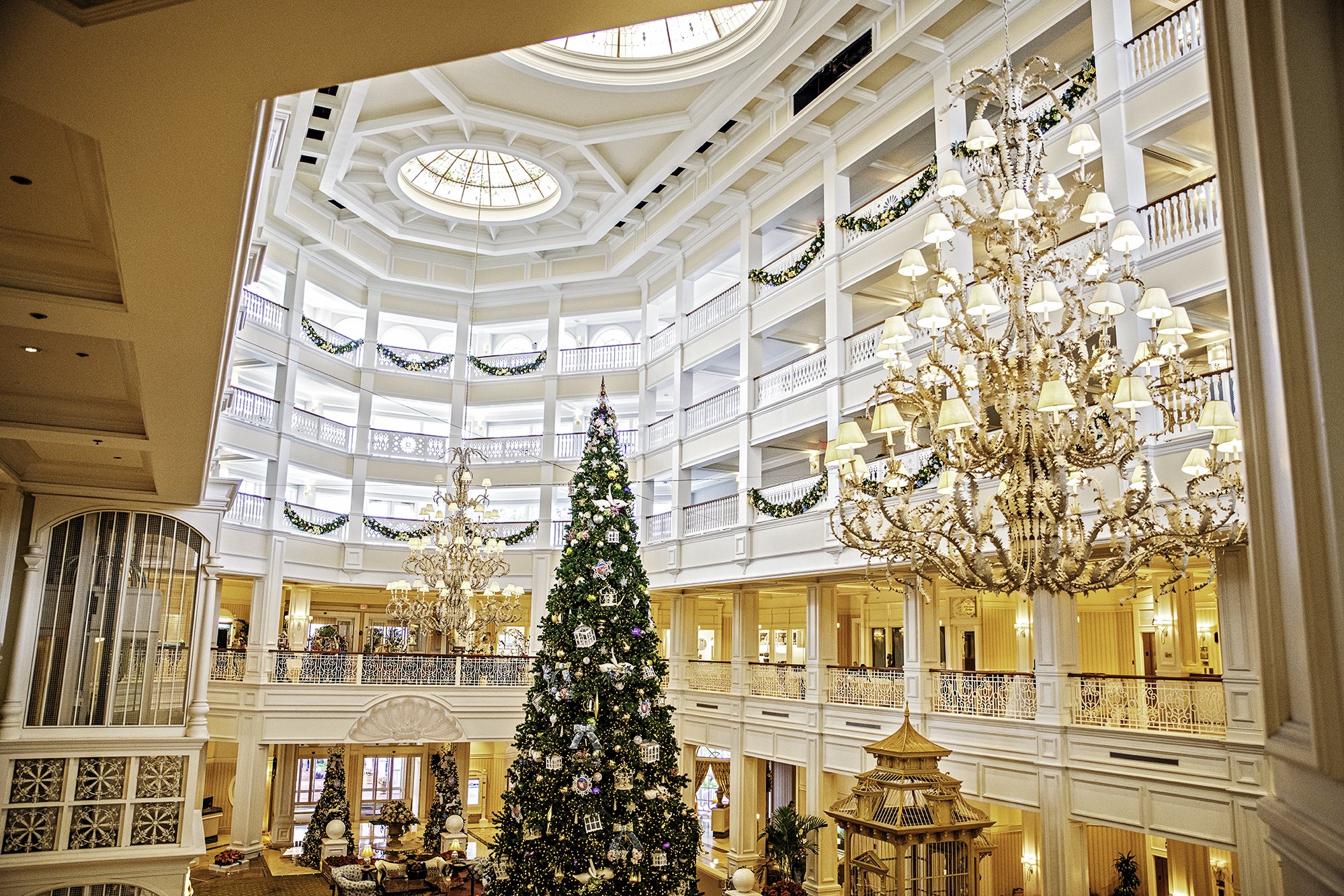 GF xmas-1small.jpg