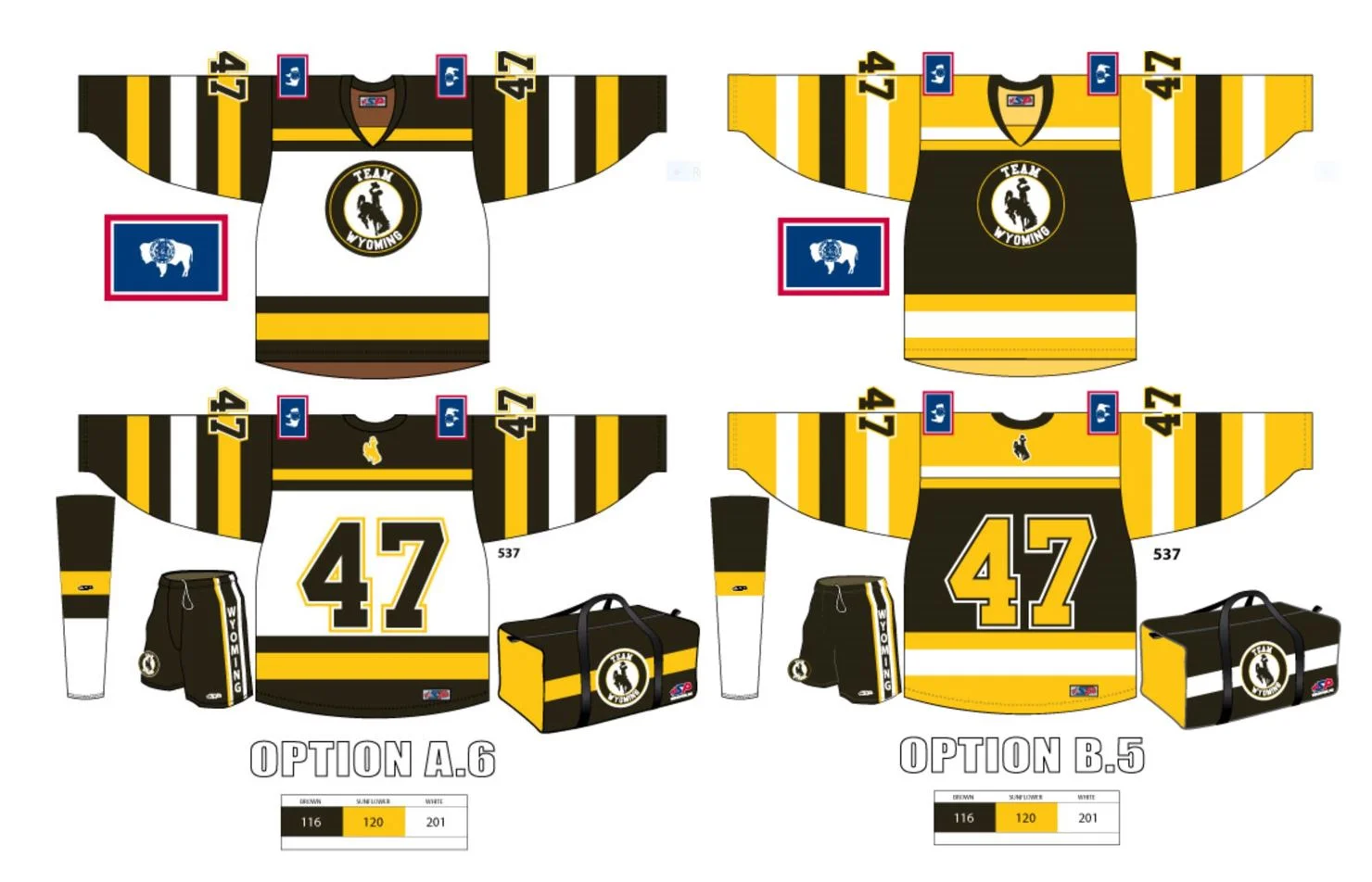 2015 Team Wyoming