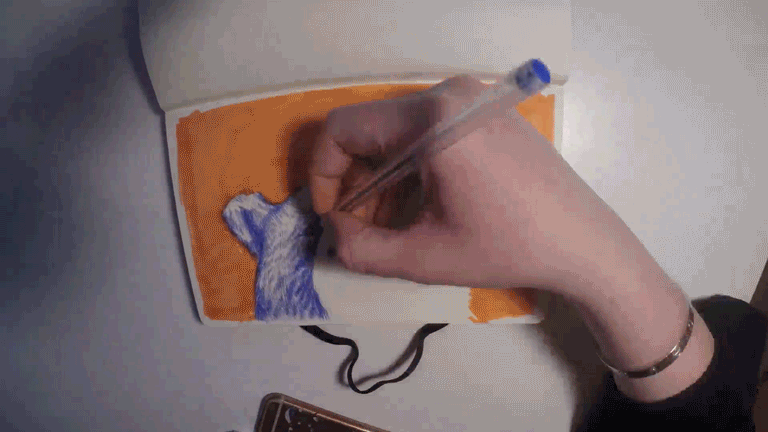 Biro Bear