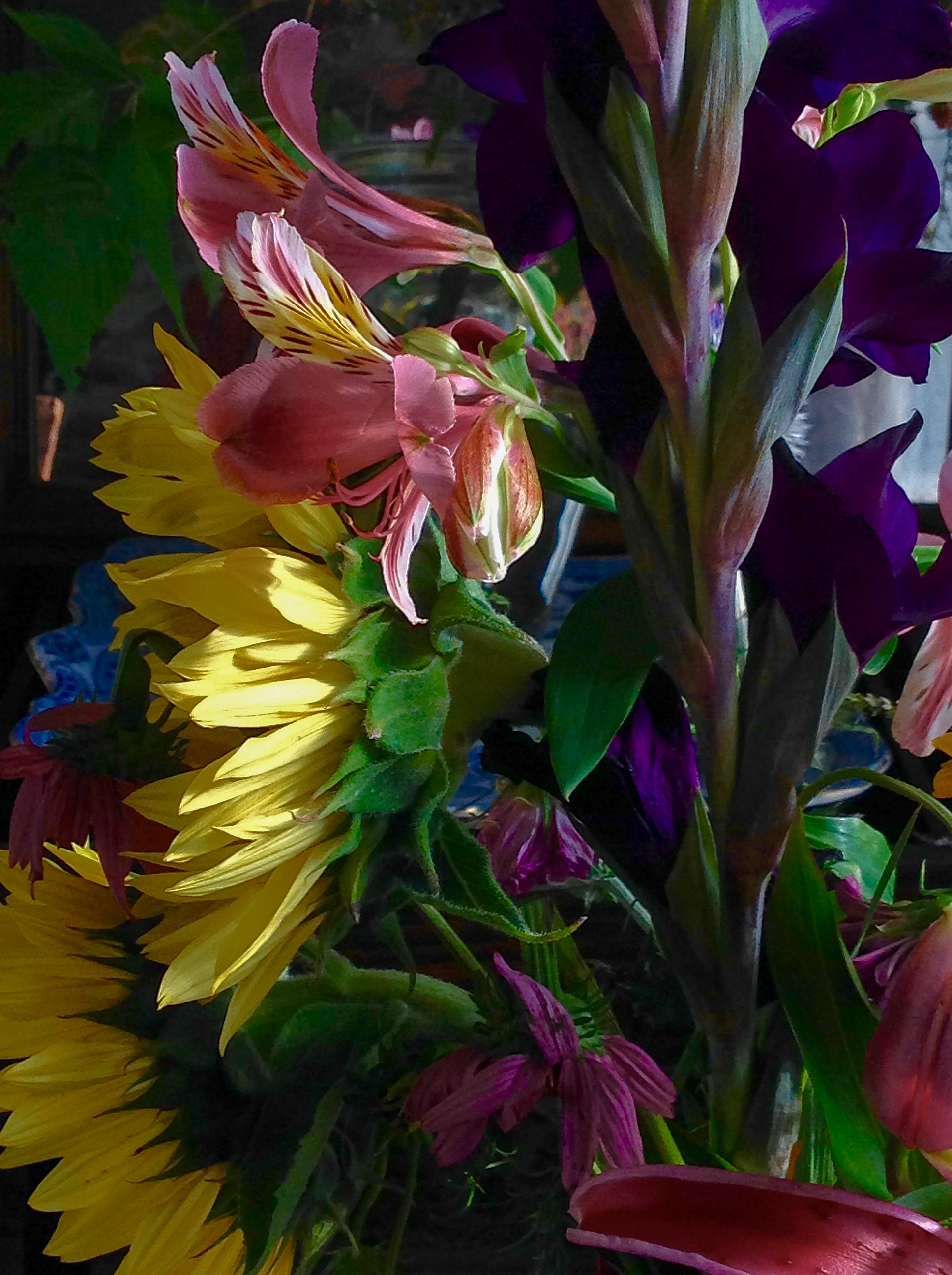sunflowergladiola2.jpg