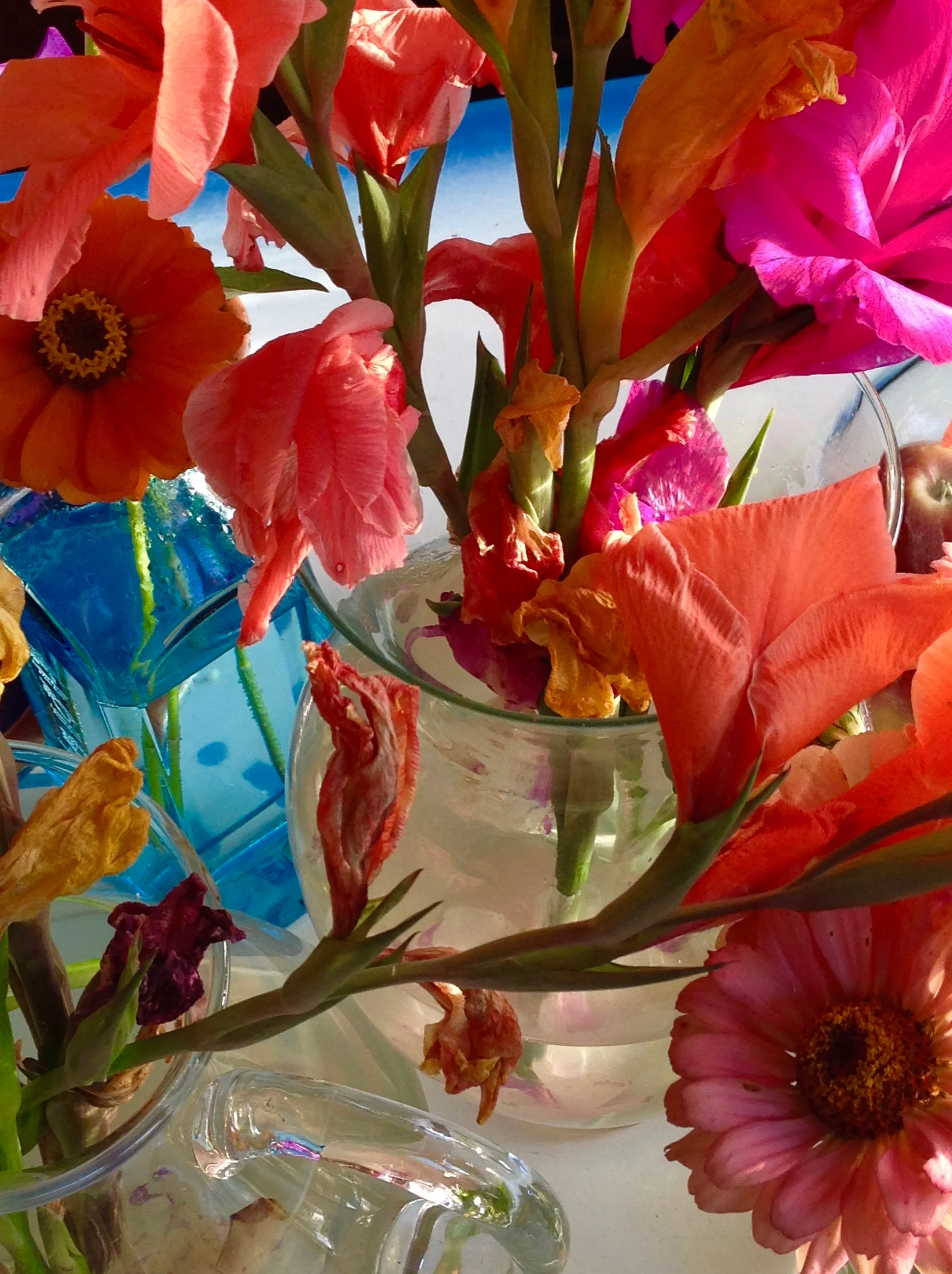 overallorange with turquoise2.jpg
