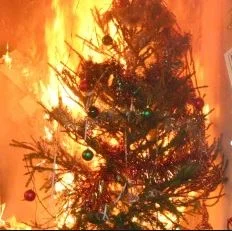 OCAAFII: All-Member Business Meeting and Holiday Lunch