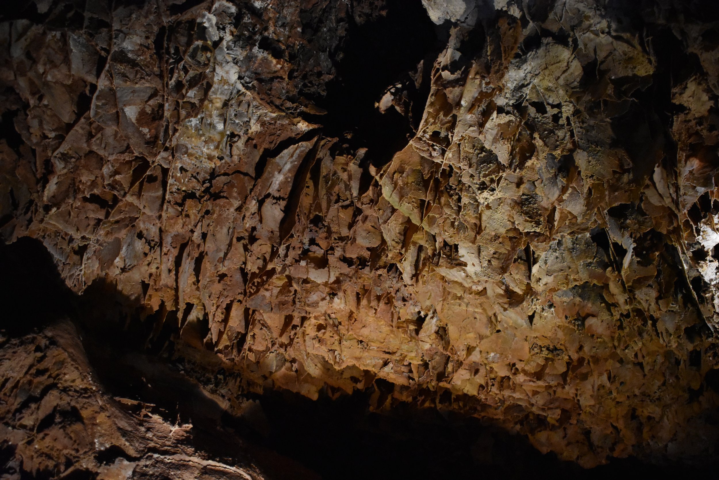 Wind Cave National Park: Touring the world's densest cave and