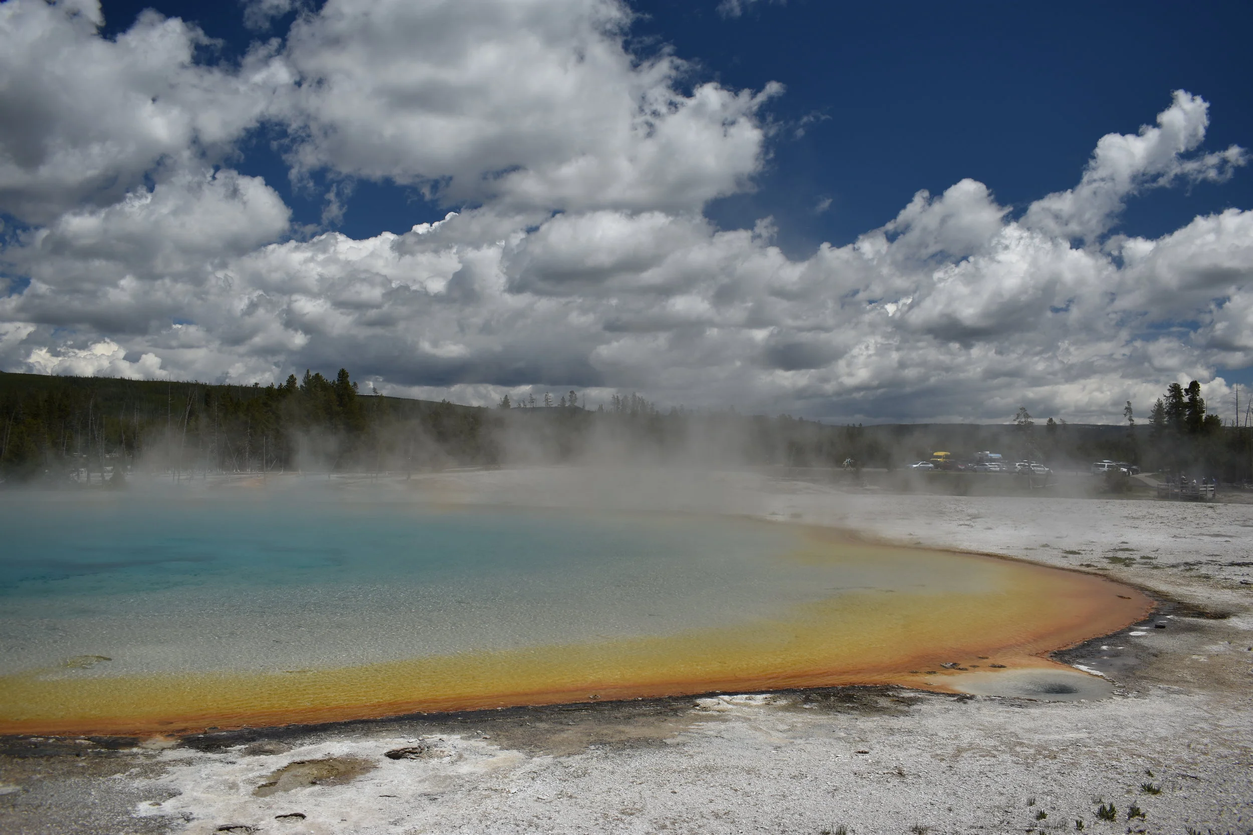 Travel With Me: Yellowstone National Park (Day Four)