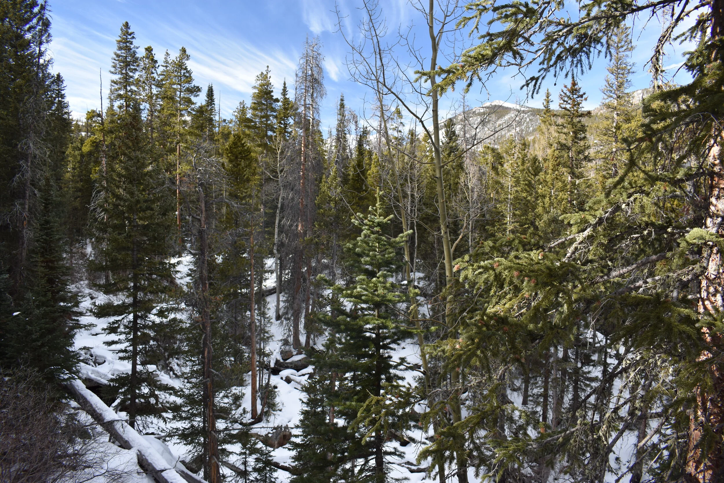 A Winter Hike to Ouzel Falls in Rocky Mountain National Park (Allenspark, Colorado)