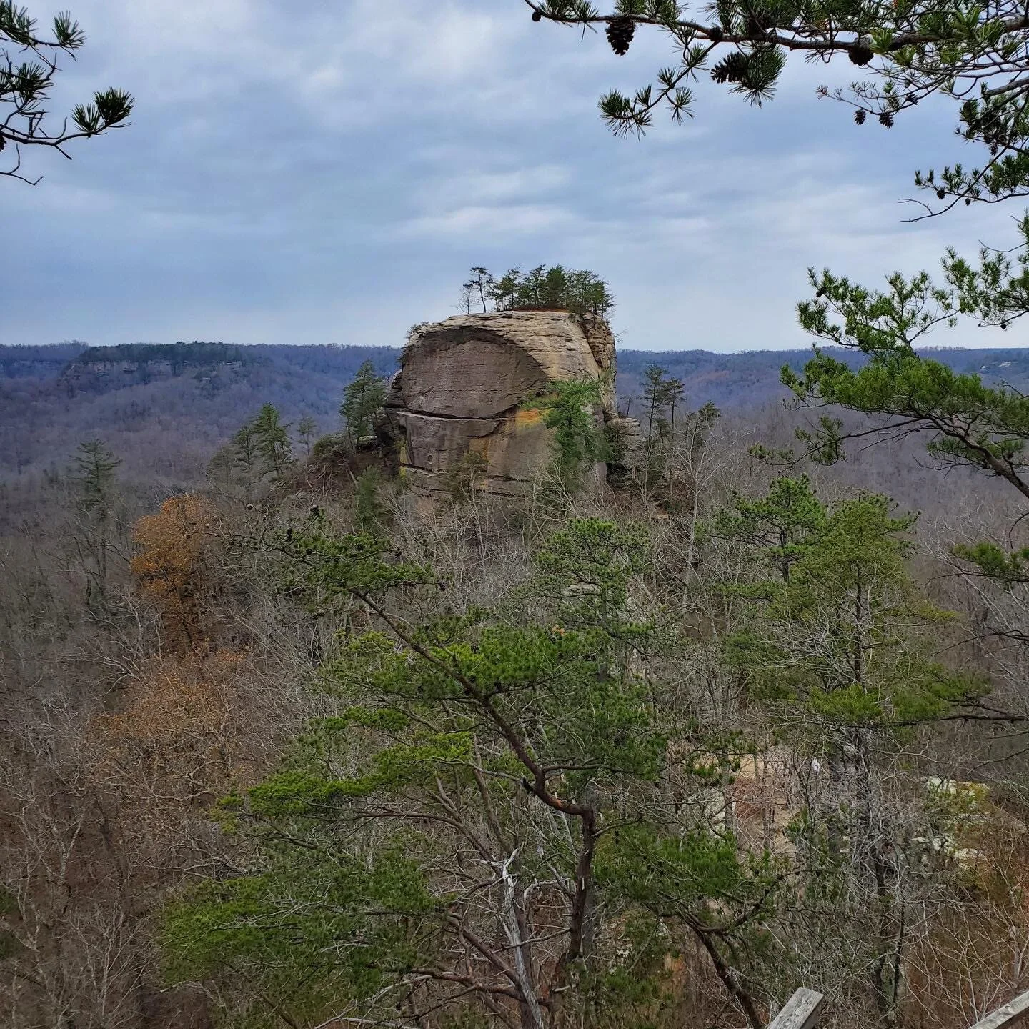 How I currently spend my days off: hiking and trying to convince my brother to get in group photos.