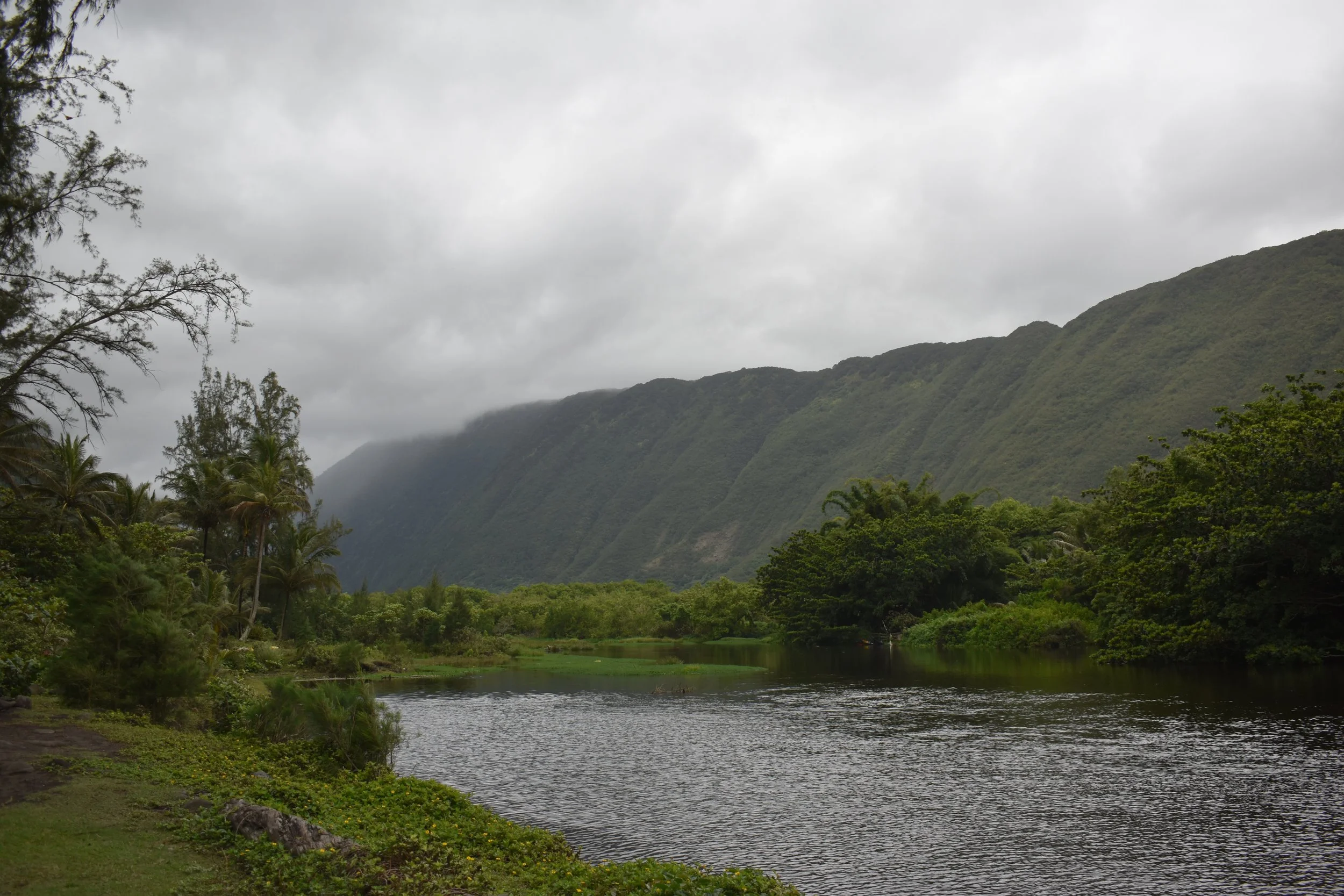 Big Island, Hawai'i (Day Four): Waipi’o Valley &amp; Akaka Falls