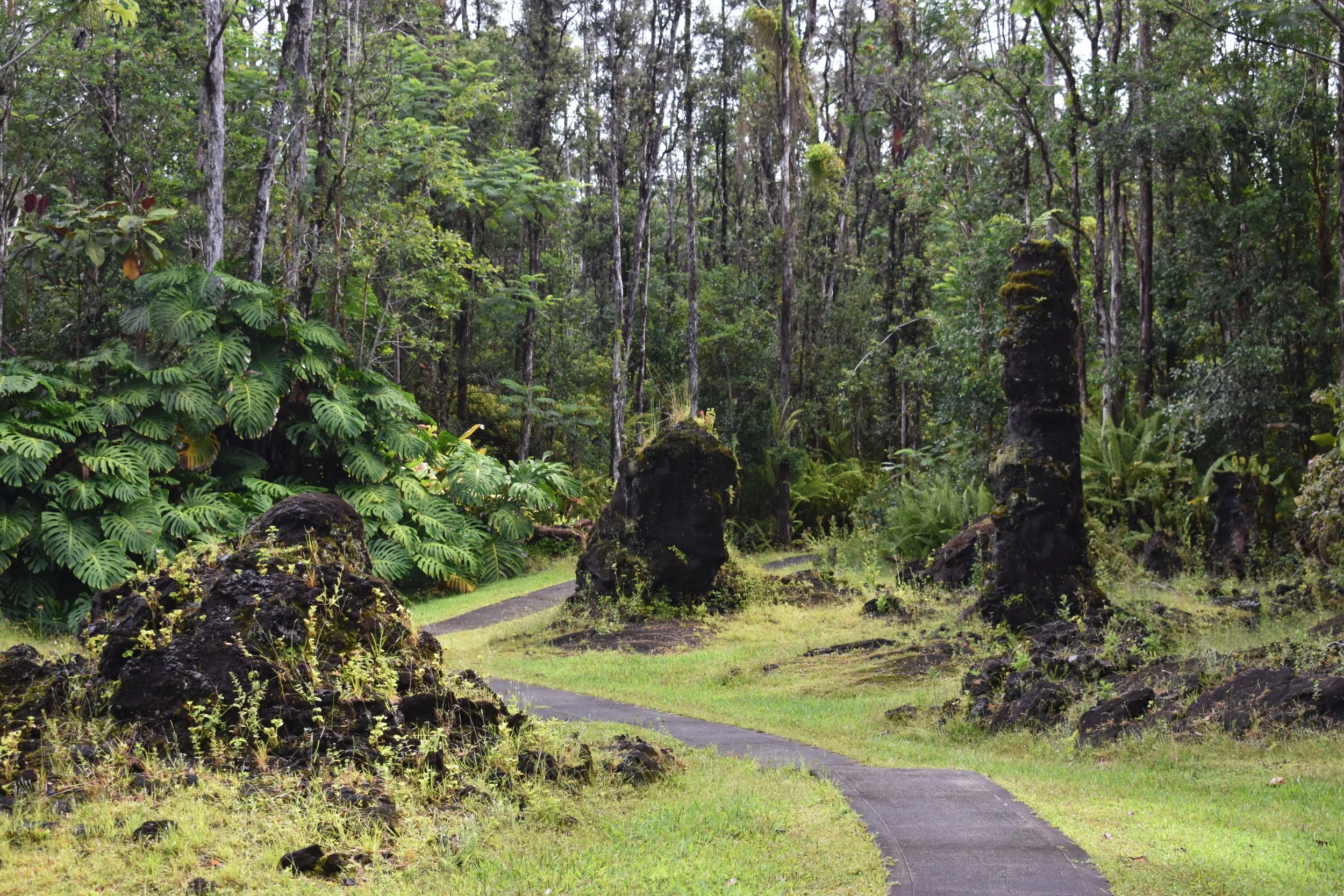 Big Island, Hawai'i (Day Five): Lava Tree State Monument &amp; Pana’ewa Rainforest Zoo