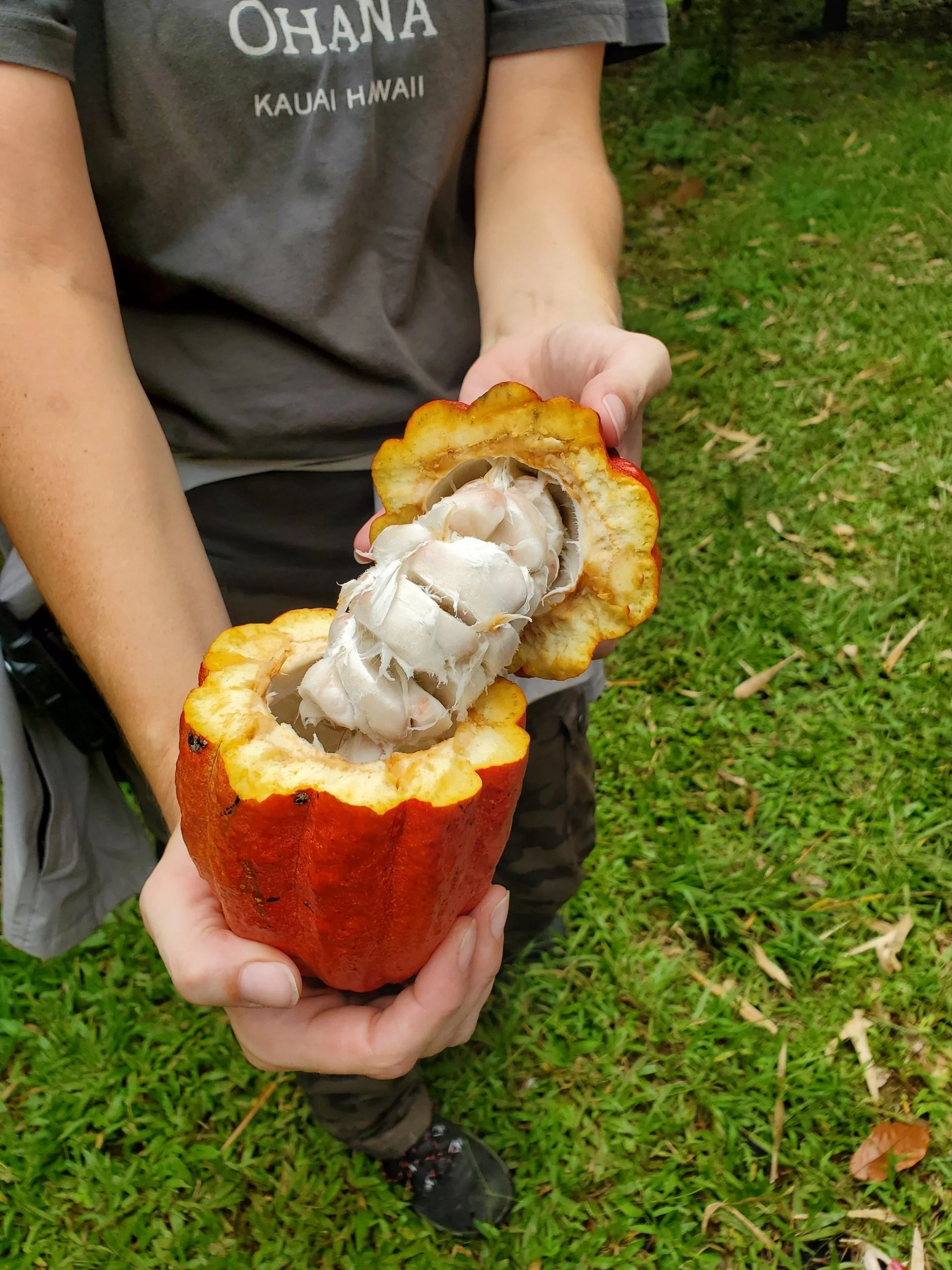 Kauai, Hawai'i (Day Nine): Sleeping Giant, Lydgate Chocolate Farm, &amp; Hanapepe