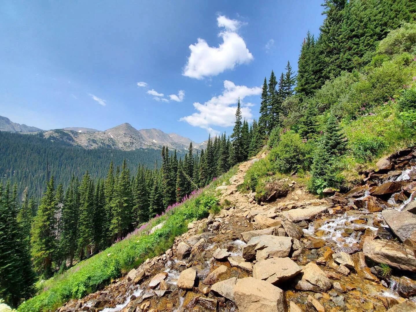 Mountains, Wildflowers, & Waterfalls: Diamond Lake (Nederland, Colorado)