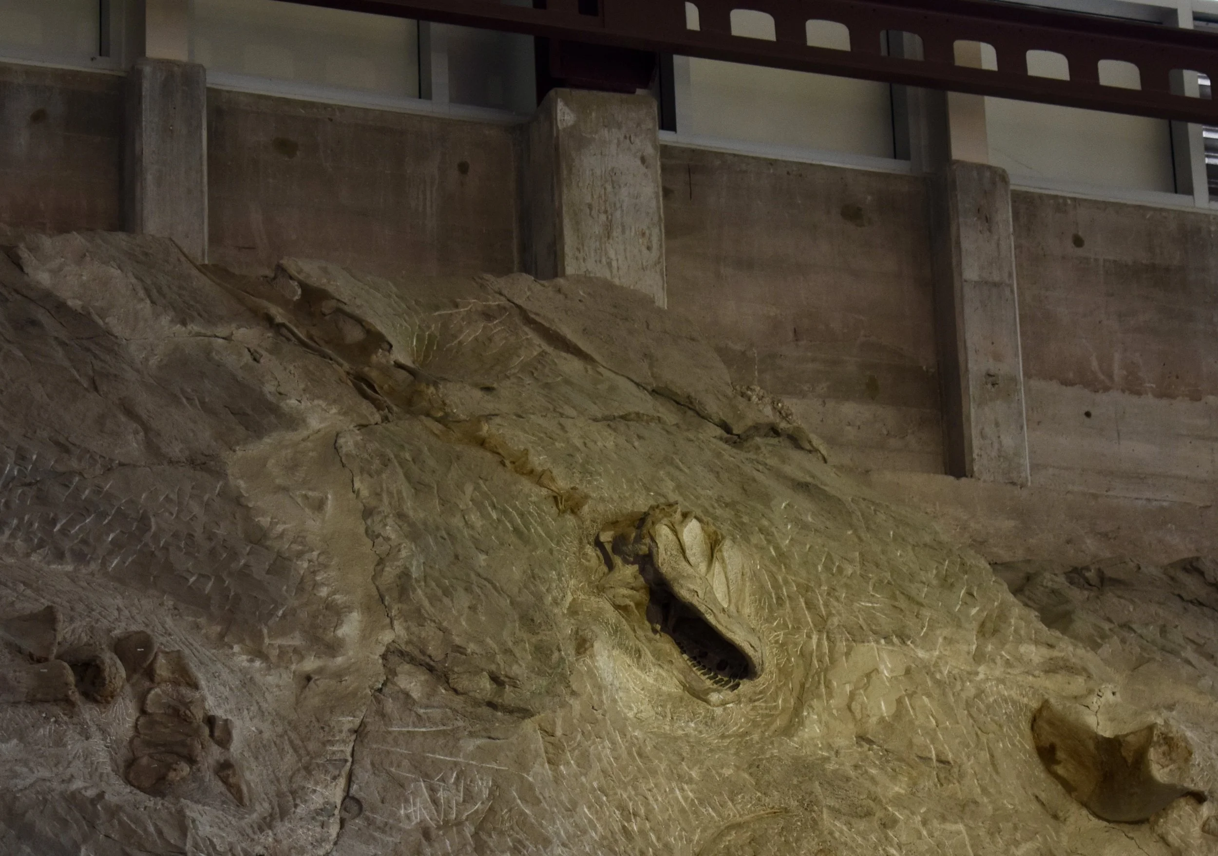 Paleontologist Dreams at Dinosaur National Monument, Utah &amp; Colorado