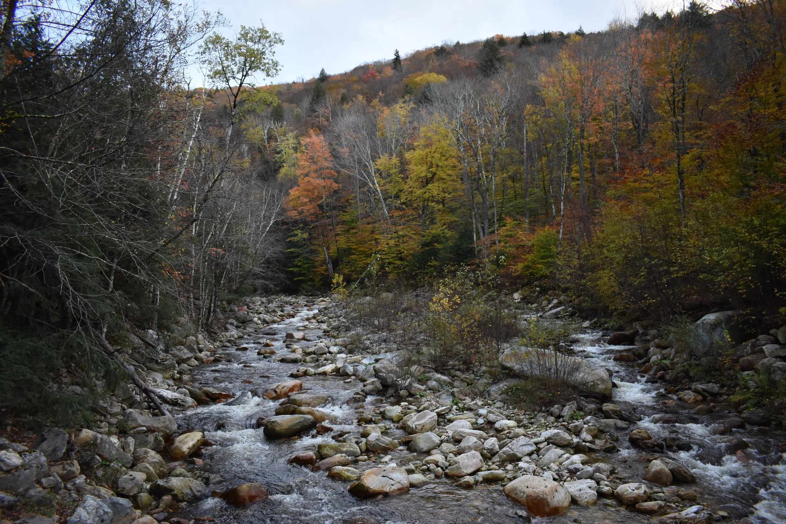 Chasing Fall Colors: Camping &amp; Hiking at Grout Lake, Vermont