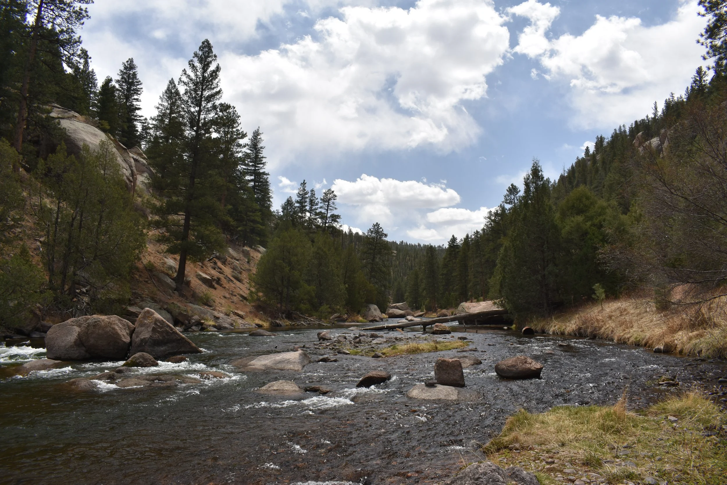 A Spring Hike in Cheesman Canyon (Sedalia, CO)