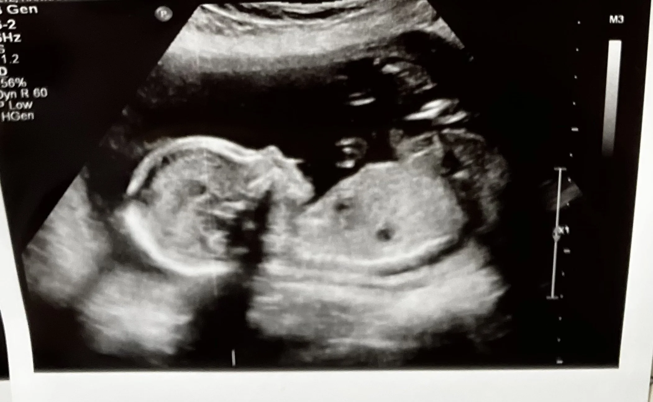 A Year in Pictures: 2023