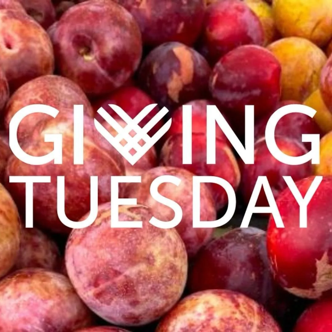 Your gift makes market day! Queen Anne&rsquo;s Farmers Market creates a truly unique space for our community. We build a meeting place for neighbors, an immersive learning opportunity for youth focusing on health and agriculture, and a platform for a