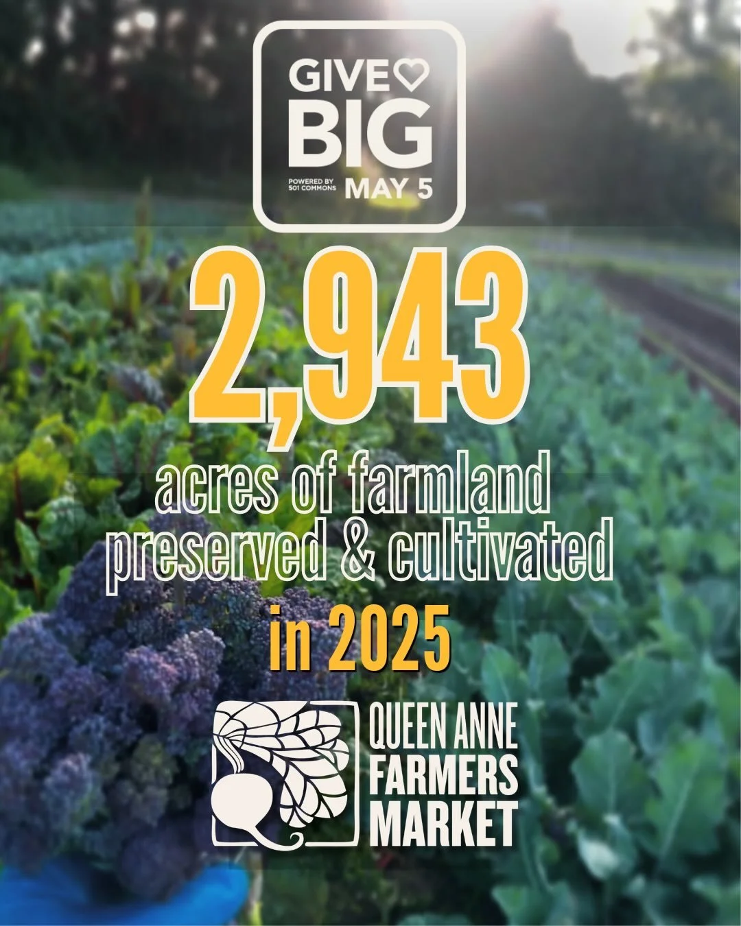 It's not too late to share your support of local and small-scale farming through a GiveBIG donation to QAFM! Every dollar you give to QAFM supports the people and land behind your favorite market booths, keeping farming viable and preserving Washingt