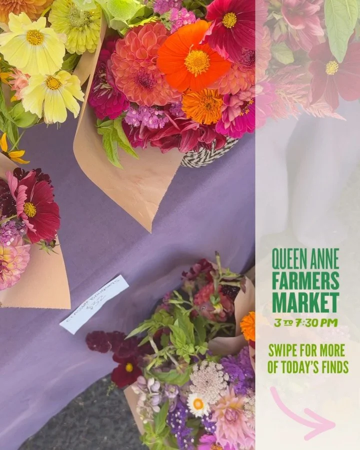 Find shared joy at QAFM, our community's river of happiness 💚

Highlights of what you'll find today, all grown and crafted with love from our local farmers and small businesses:

💚@sweet.alyssum.farm bouquets grown on Vashon Island
💚Angelus peache
