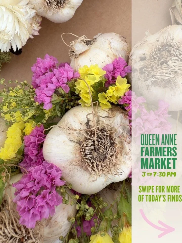 Put on a light layer and come join us for our first September market of the year!  Every farm booth has both late summer and early fall fresh favorites!  Open today 3:00-7:30pm! 

☀️Garlic braids @localcolorfarmandfiber 
☀️Sweet corn and leeks @tieto