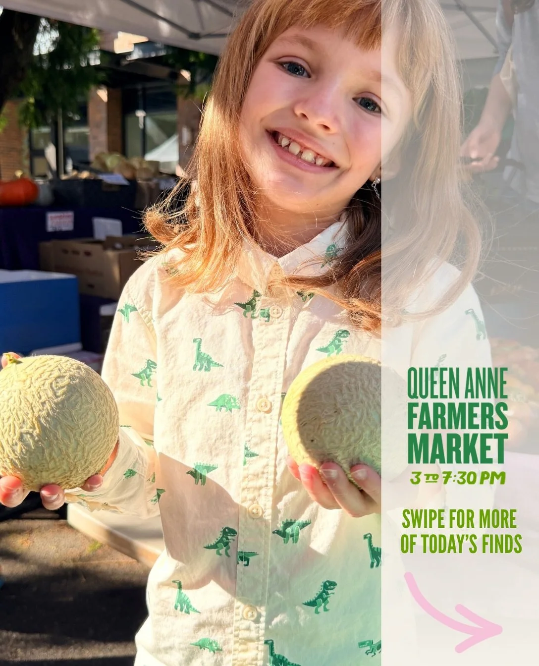Let the season shape what you cook this week, we're full of late summer and early fall delights! 

👍Sugar cube cantaloupes (personal size!) @skinnykittyfarms 
👍papples (pear-apple cross) @collinsfamilyorchards only harvest this season
👍Napa cabbag