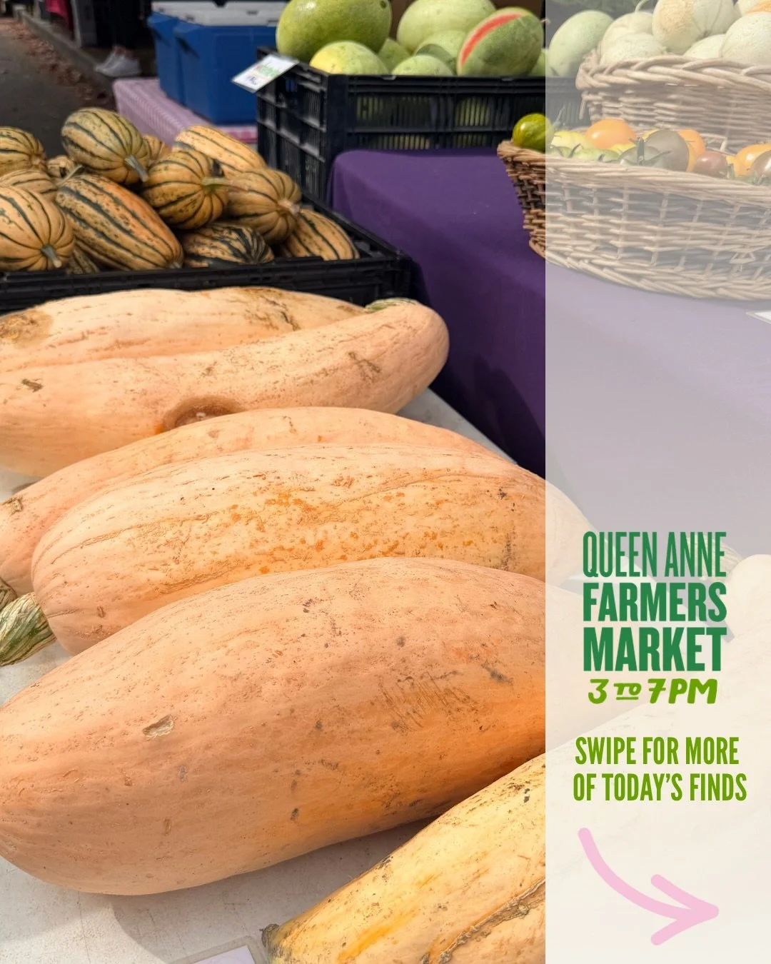 We're nearing the finish line of our 2026 summer season - only today and two more Thursdays left to shop the freshest produce available direct from local growers!  Today's cloudy but clear market brings lots of fall eye candy and as always, a diverse