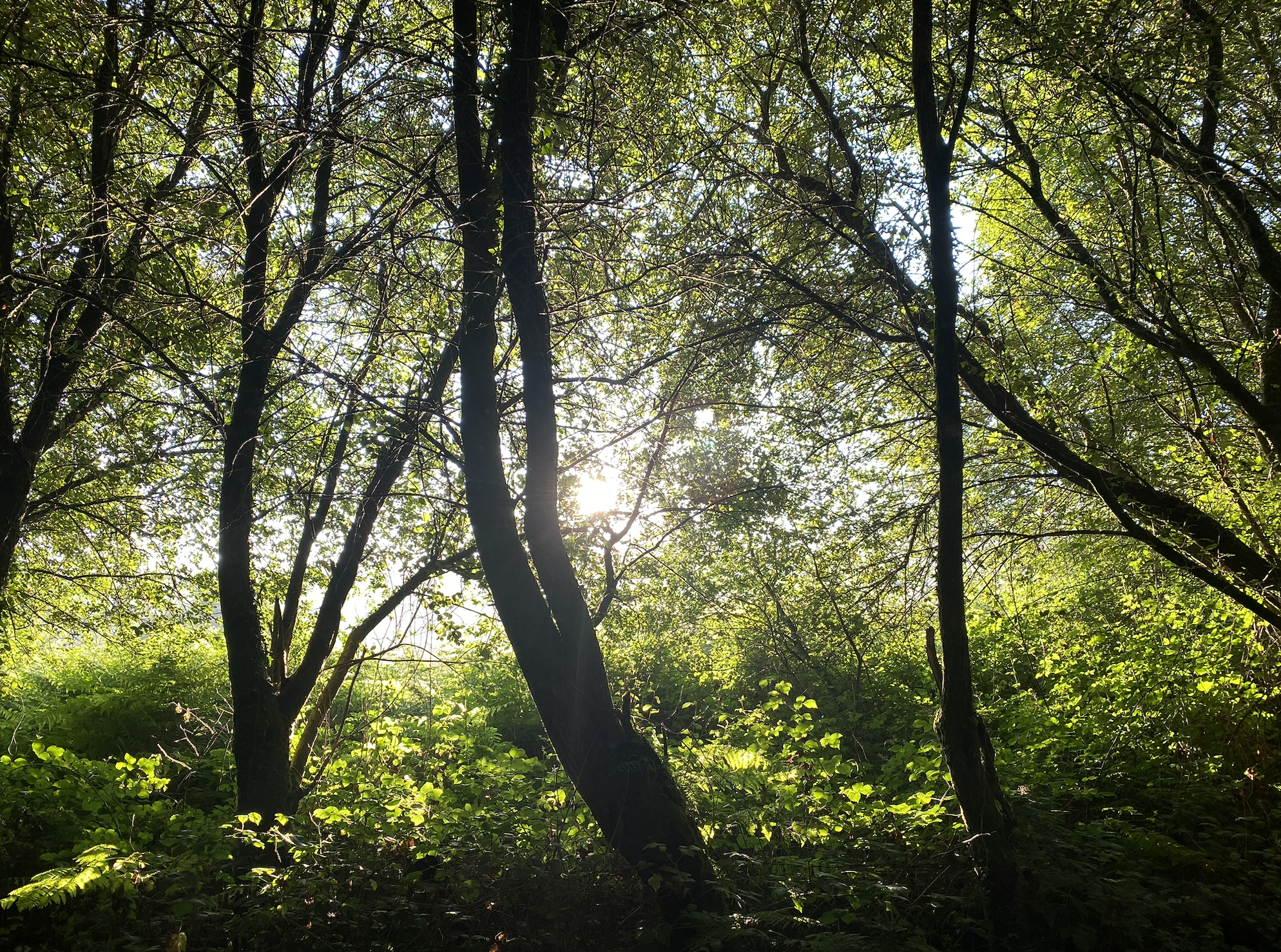 Screenshot 2025-10-27 at 8.30.28 PM.png