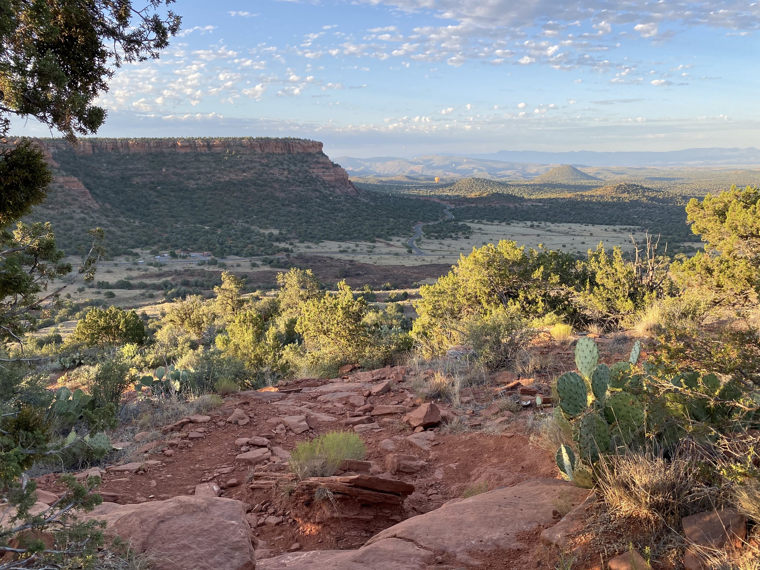 2020-07-18 06.05.10-1.jpg