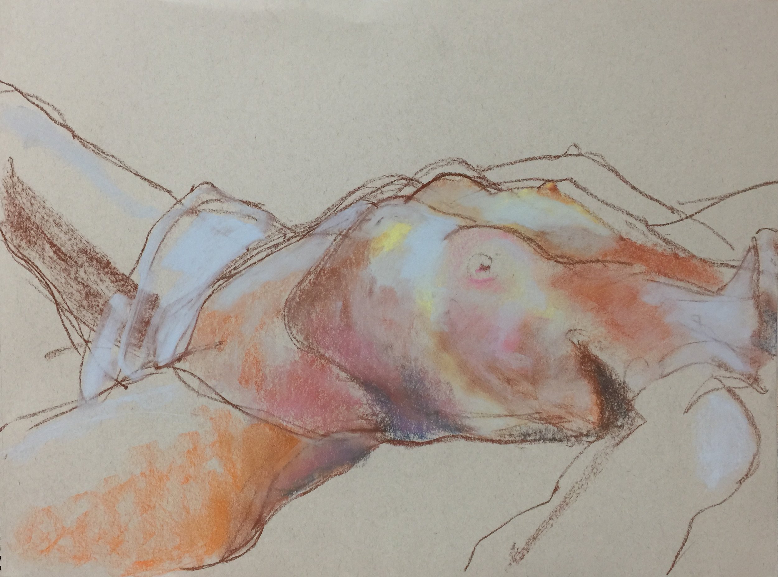 Female Torso Study