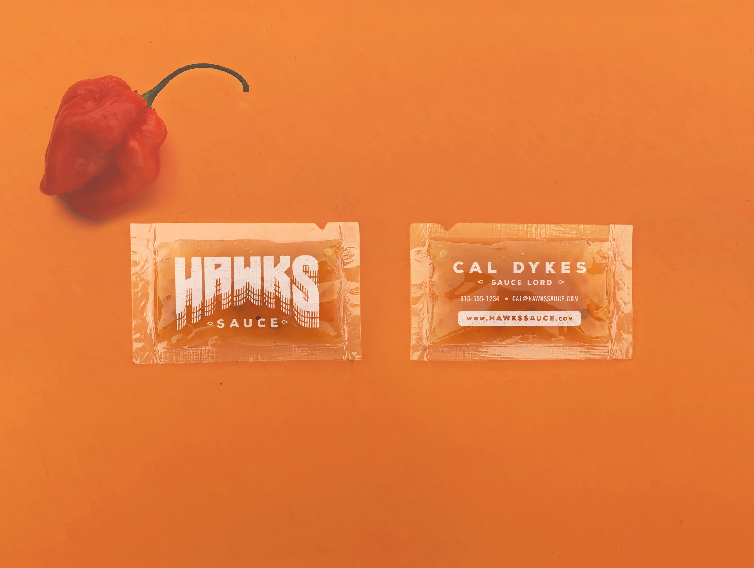 Graduate Design Studio — Hawks Sauce Branding & Packaging