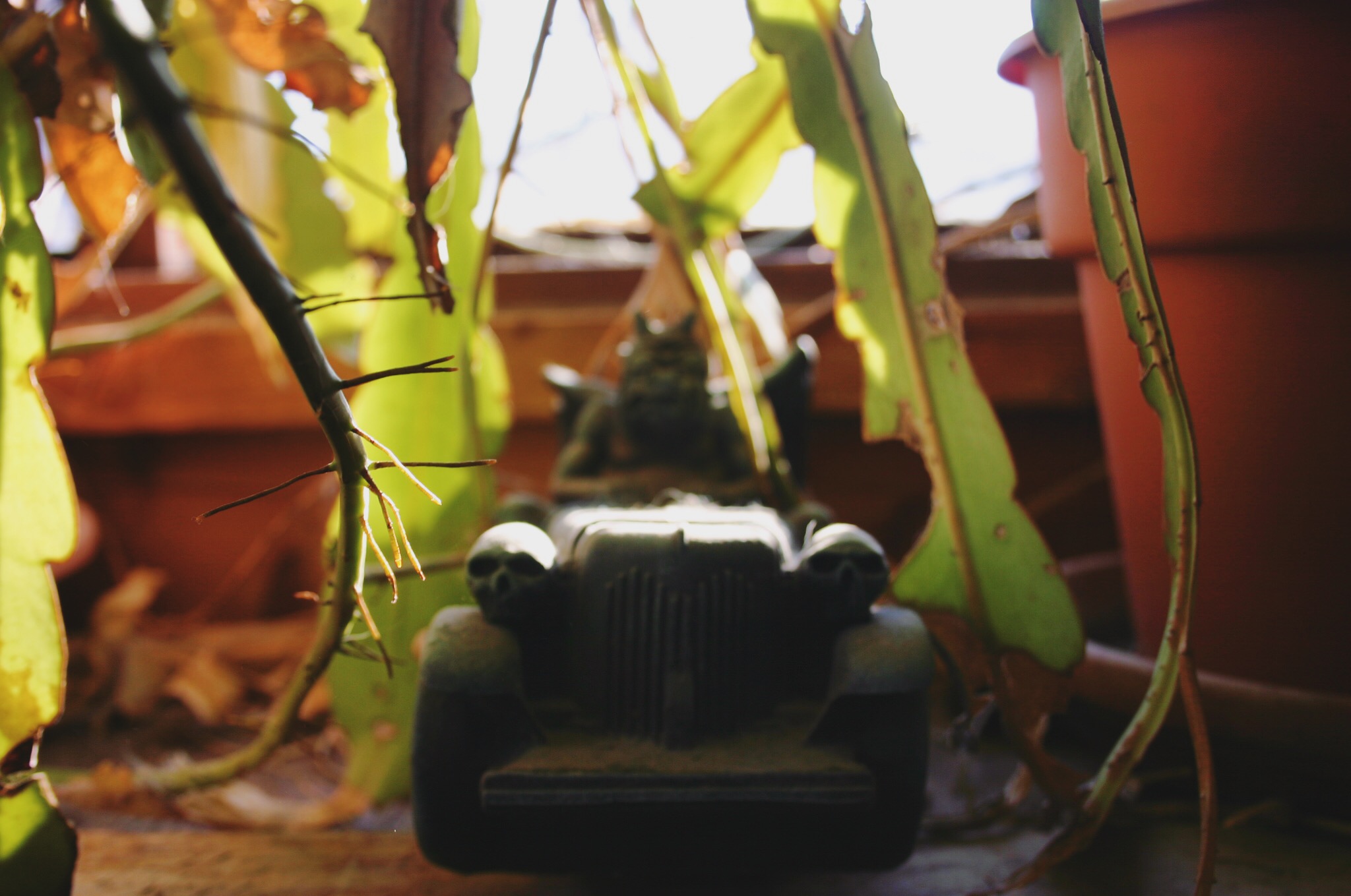 Treasures in the windows.