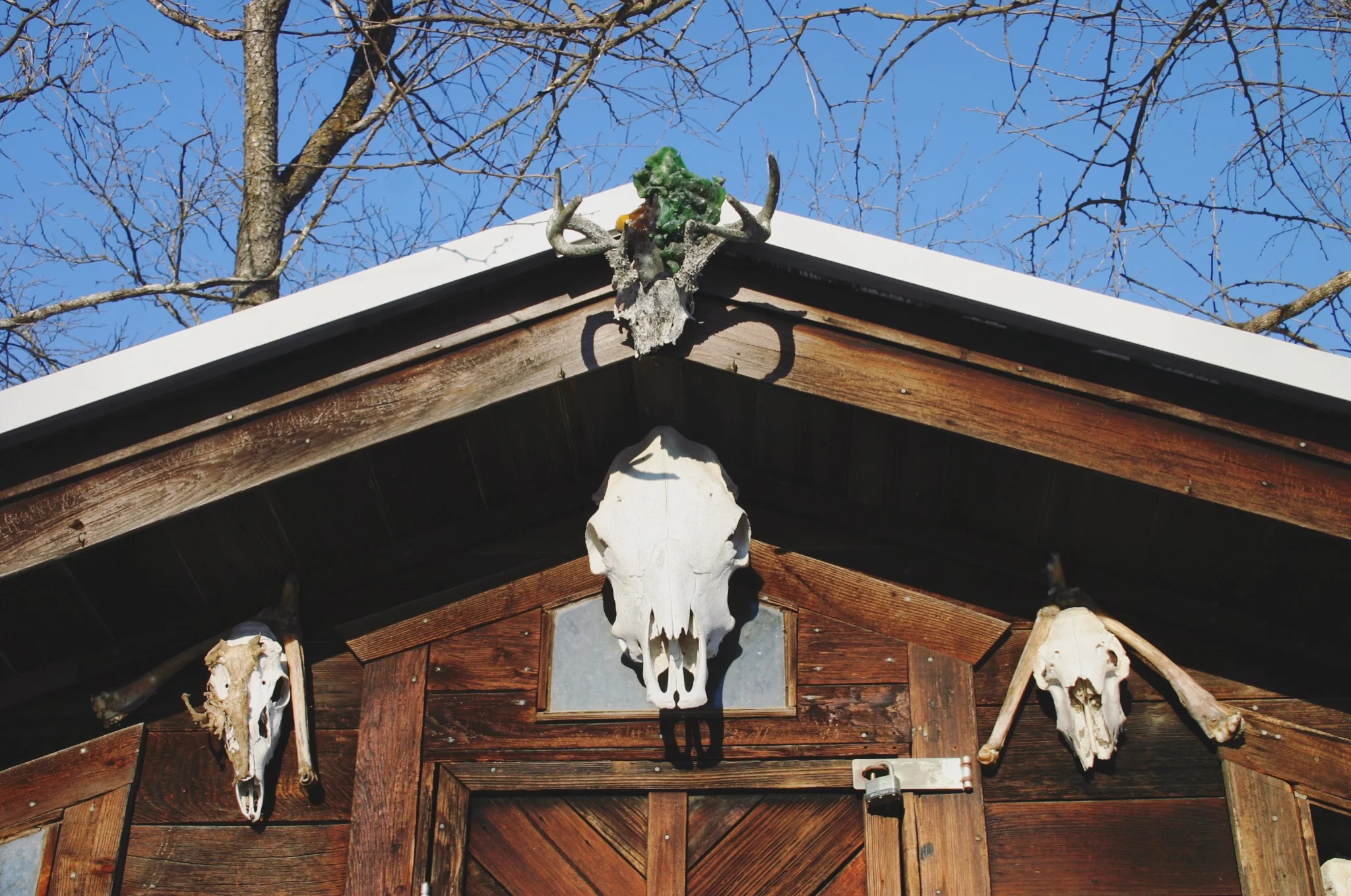 The sauna, close-up.&nbsp;