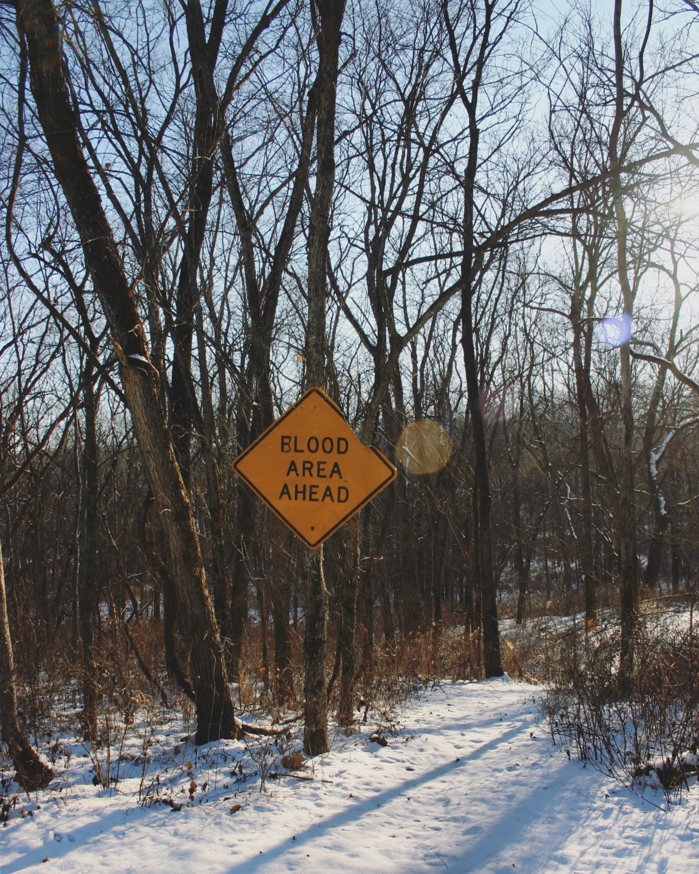 Apparently a while back, someone went through and changed a bunch of signs in Jefferson County. One Alicia and I encountered when driving in was "Onion Road," which had been changed from "Union Road." I thought this edited sign, leading into a serie…