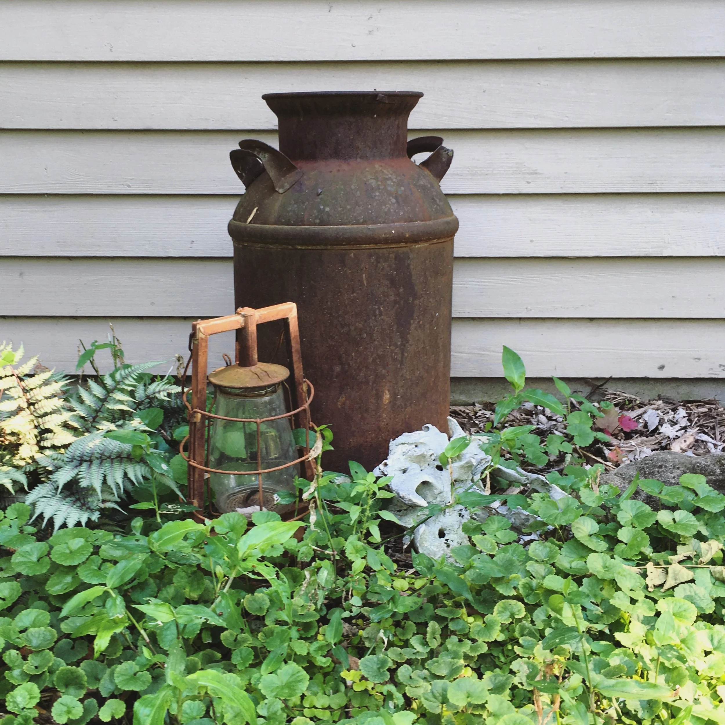 Around the gardens pt. 2.