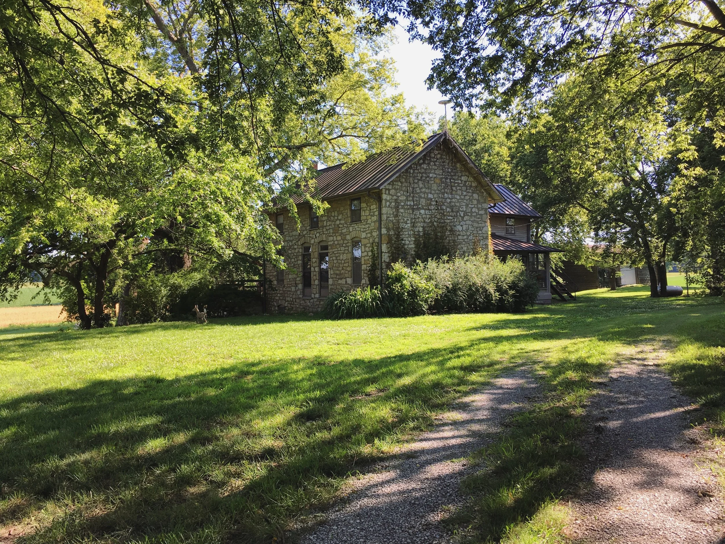 A final look at 'Z.'