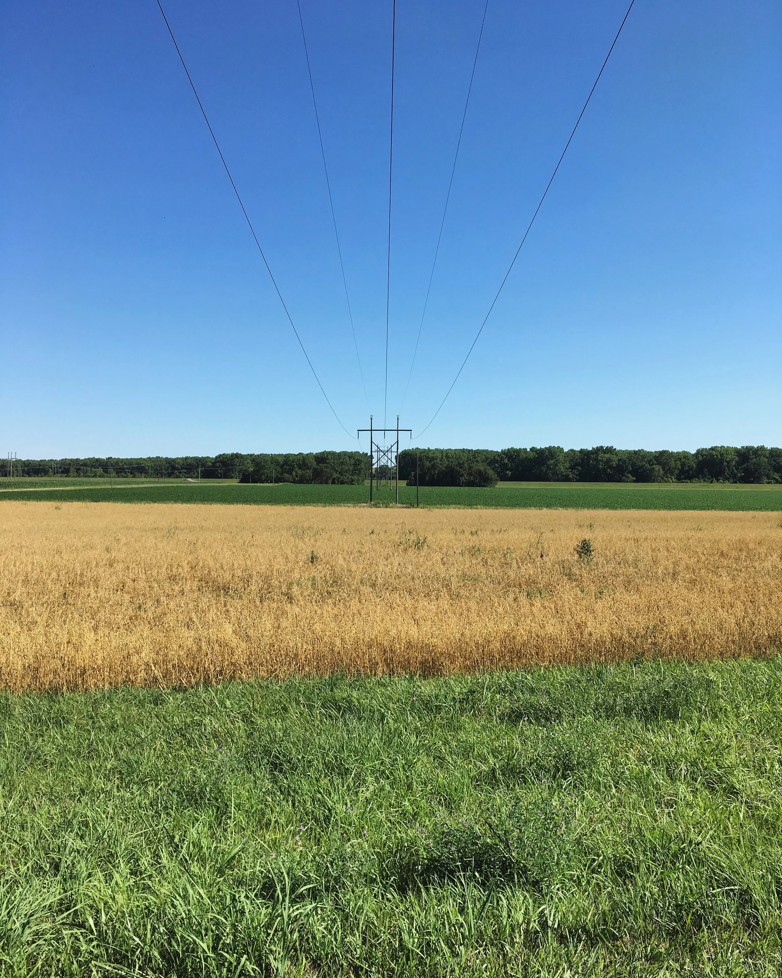 Kansas county view leaving the property. Perfect.&nbsp;
