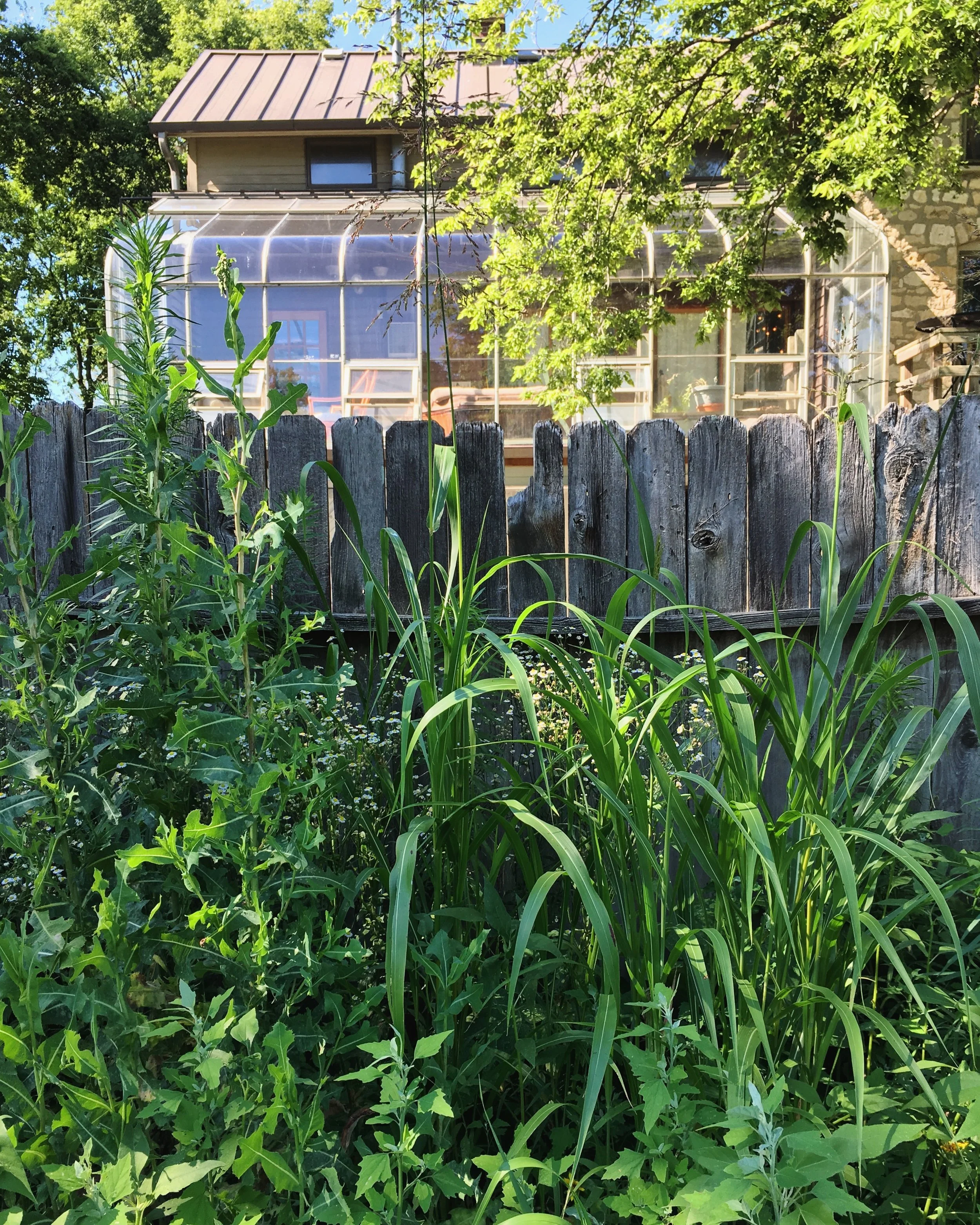 View from the gardens, looking up towards the house. This section of the house, with a south-facing solarium, is an addition to the original structure. Instead of some historic home additions, this addition adds rather than subtracts. More on the so…