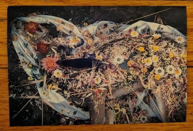 2/6/18 UPDATE: It turns out it's not a cat buried by the deer statue, but in fact it's a DEER, buried under it! There's a story here, of course. Photo and story courtesy of my friend Katie Ashmore. While Katie was living at 'Z' years ago, she came a…