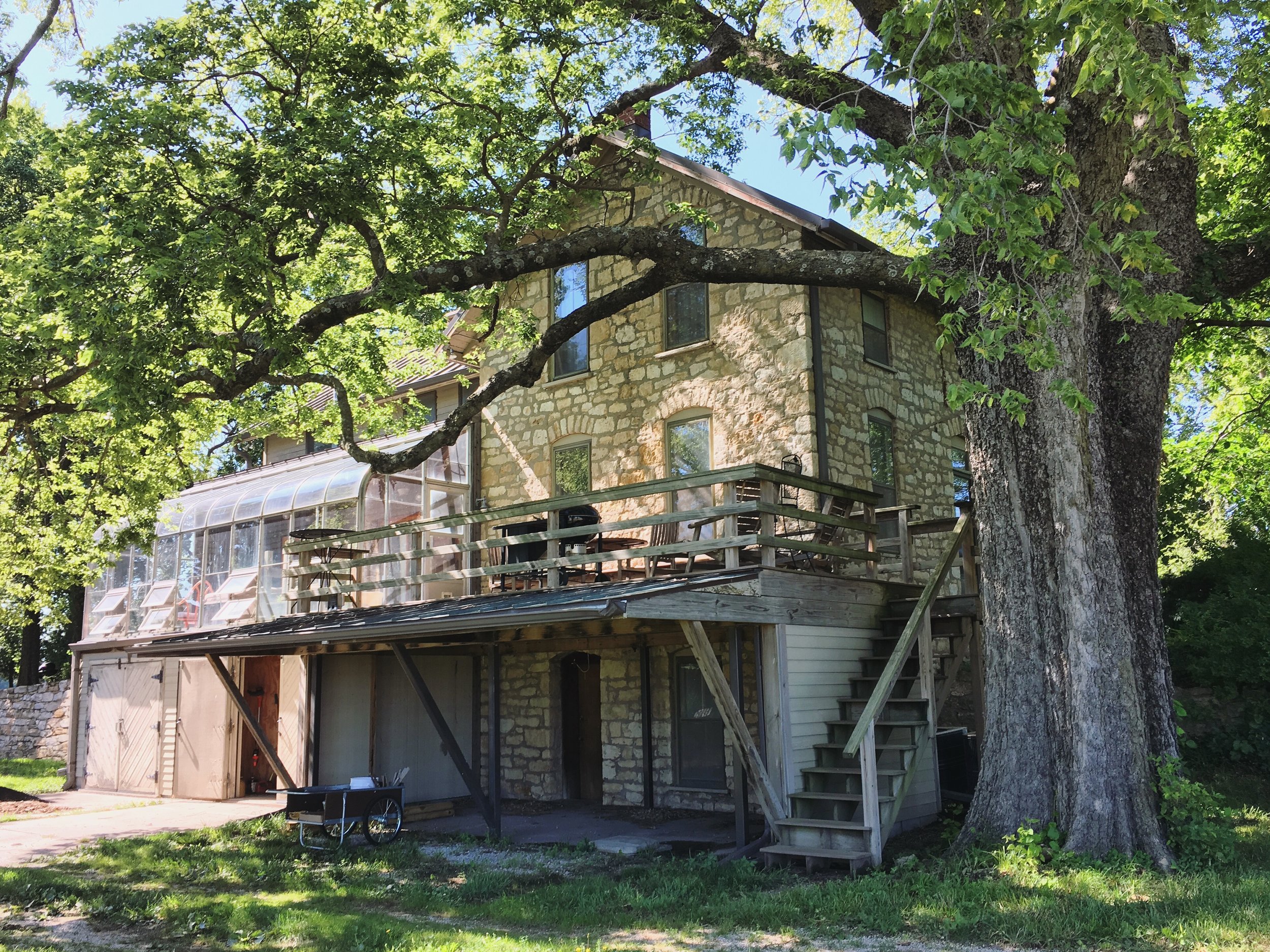 UPDATE 2/6/18: It turns out that the tree that so moved me is the oldest Hackberry Tree in Douglas County (!!). Thanks to Katie Ashmore for the info.&nbsp;Here are a few more photos of said Hackberry and its relation to 'Z.'&nbsp;These certainly don…