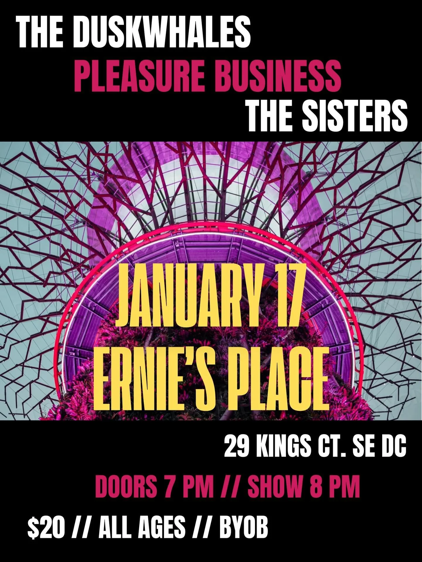 First show of the new year! ☃️ Jan 17 @erniesplacedc w/ @pleasure.biz + @thesistersthesistersthesisters ticket link in bio 👉🎟️