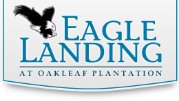 Eagle_Landing_at_Oakleaf_Plantation_Orange_Park_FL.png