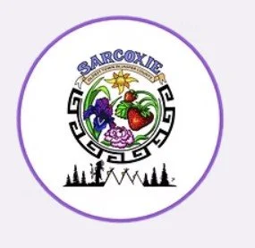 City of Sarcoxie.jpg