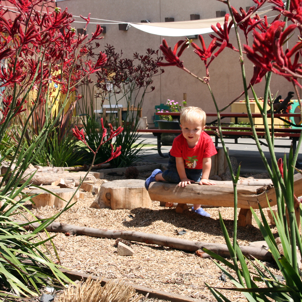 NATURE PLAY SCHOOL YARD