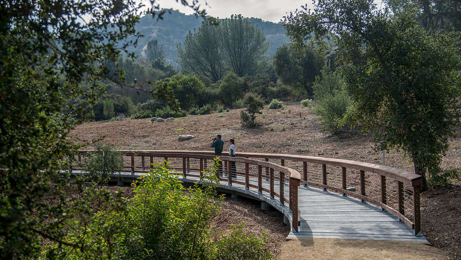 DESCANSO OAK WOODLAND