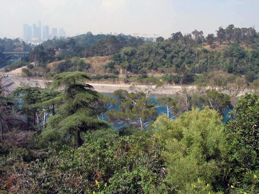 ELYSIAN_Reservoir.jpg