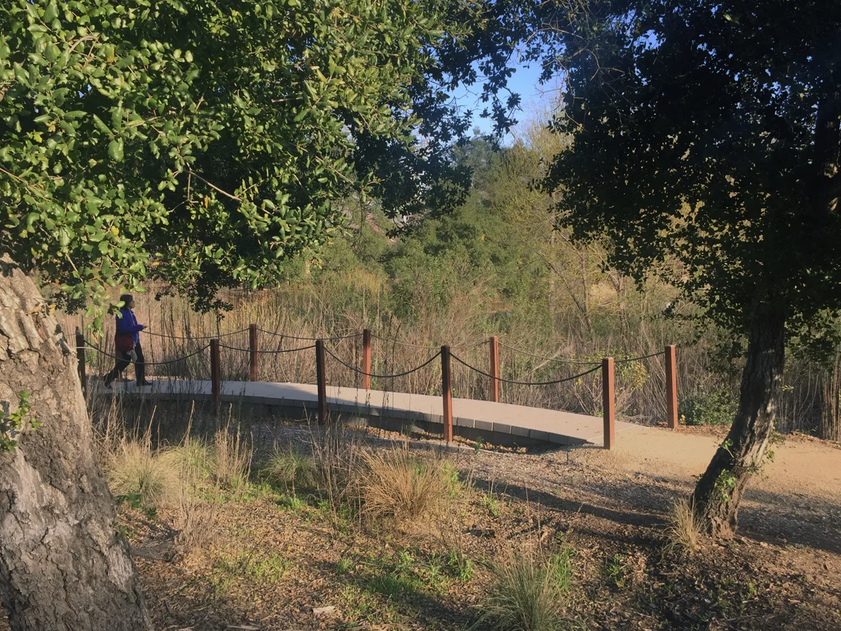 OAK WOODLAND RESTORATION at DESCANSO GARDENS
