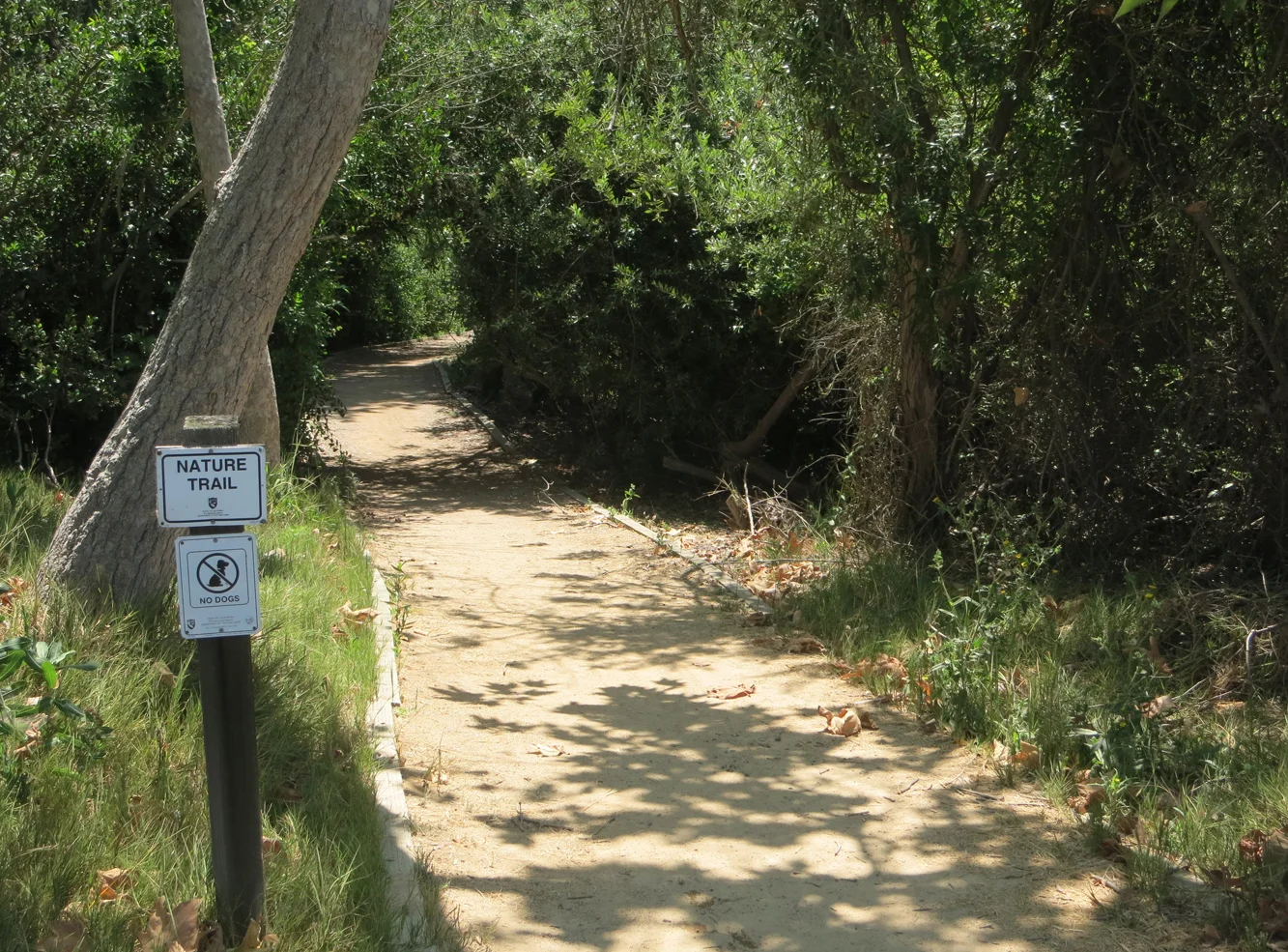 BCC_trailentry.JPG